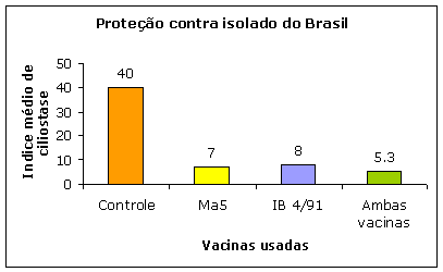 Prote&ccedil;&atilde;o contra isolado do Brasil