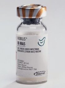 Nobilis Ma5