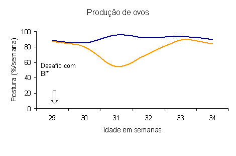 Produção de ôvos