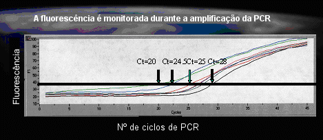 A fluorescência é monitorada durante a amplificação da PCR