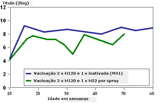 Produção de títulos HI contra o vírus de Bronquite Infecciosa (Massachusetts) em poedeiras